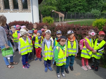 Misie w zoo 4