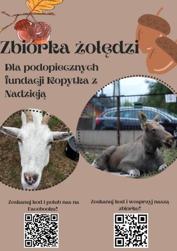 fundacja1  plakat zbiórka żołędzi