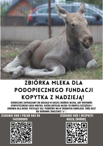 fundacja2 plakat zbiórka mleka