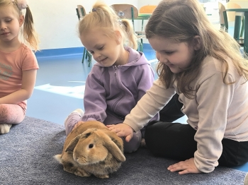 IMG_20260312_104014(1)