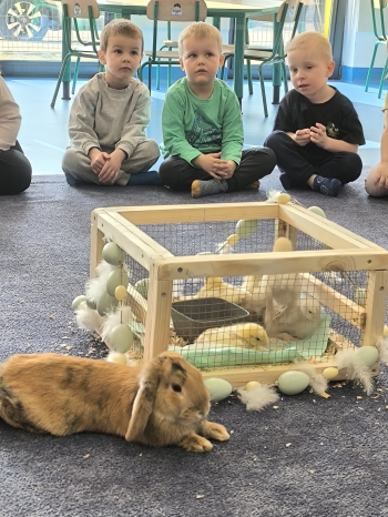 IMG_20260312_104240(1)