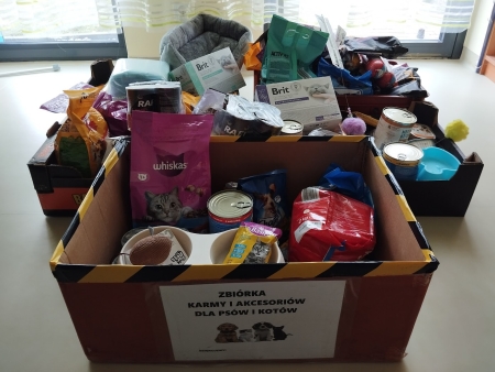 PODSUMOWANIE AKCJI - ZBIÓRKA KARMY I AKCESORIÓW